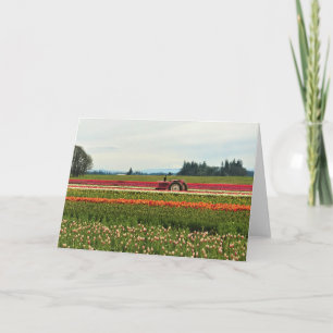 Carte Tracteur rose en Tulip Field, Oregon
