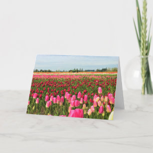 Carte Tracteur vert en Tulip Field, Oregon