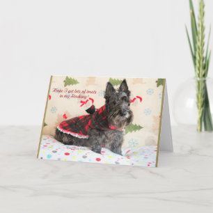 Carte Traitements Dans Mon Stocking