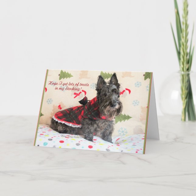 Carte Traitements Dans Mon Stocking (Devant)