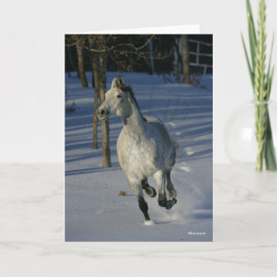 Carte Trakehner gris pomme courant dans la neige