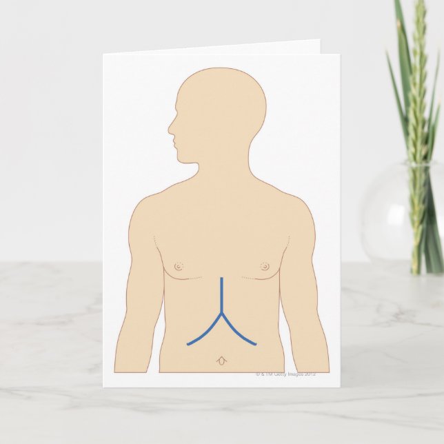 Carte Transplantation du foie (Devant)