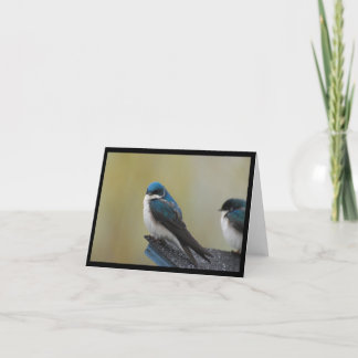 Carte Tree Swallow Note Card (blank)