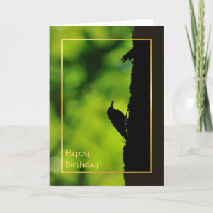 Carte Treecreeper européen