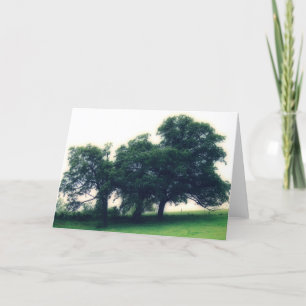 Carte Trees in a Pasture all occasions
