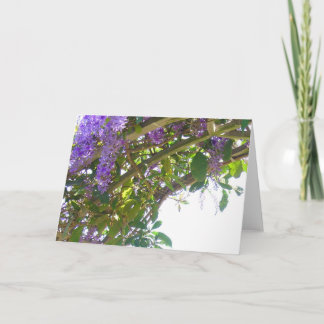 Carte Treillis royal