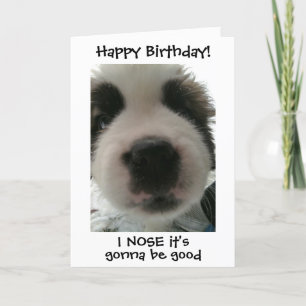 Carte Très Mignon Chien Je suppose que c'est ton anniver