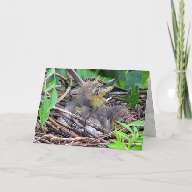 Carte Tri couleur Heron Chick (Devant)