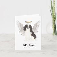 Tricolore Cavalier Roi Charles Espagnol Sympathie