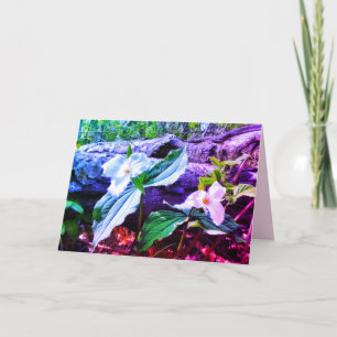 CARTE TRILLIUMS RAINBOW GREETING CARD