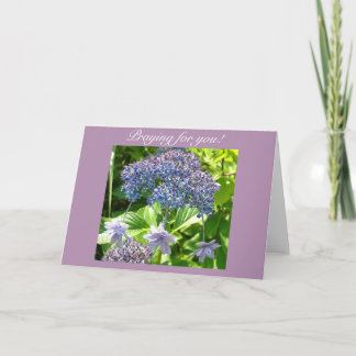 Carte Trinity Prier Pour Vous