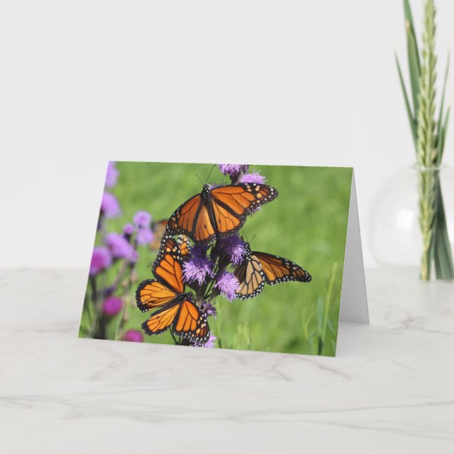 Carte Trio de monarque (Devant)