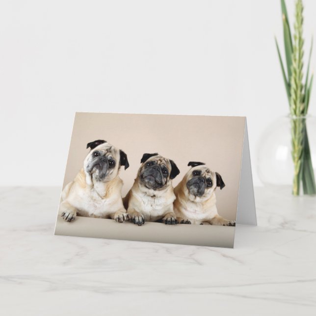 Carte Trois Carlins De Ligne (Devant)