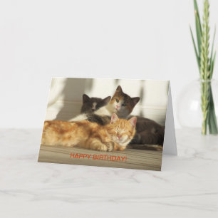 Carte Trois chats de détente, anniversaire