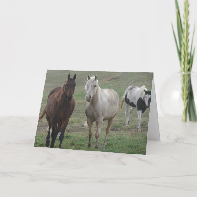 Carte Trois Chevaux amis pour toujours (Devant)