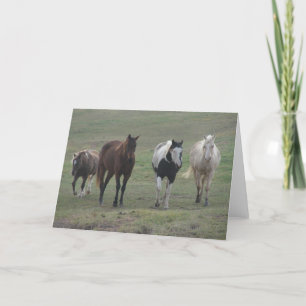 Carte Trois chevaux et un poney