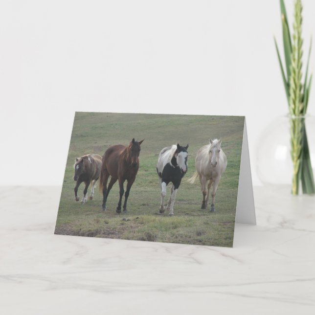 Carte Trois chevaux et un poney (Devant)