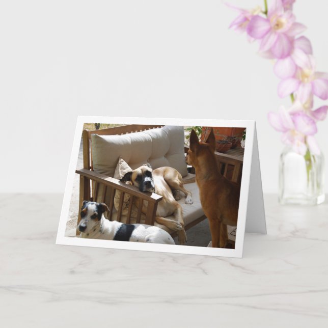 Carte Trois chiens se détendant Portrait (Orchidée)