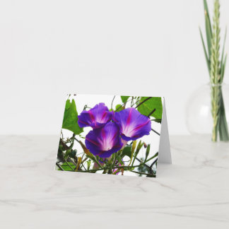 Carte Trois gloires du matin