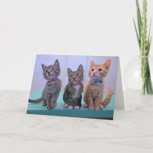 Carte Trois petits chatons