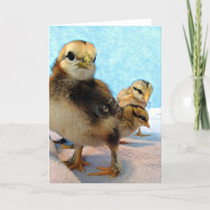 Carte Trois Petits Poussins