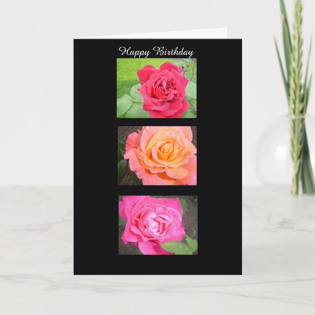 Carte Trois roses époustouflantes (Devant)