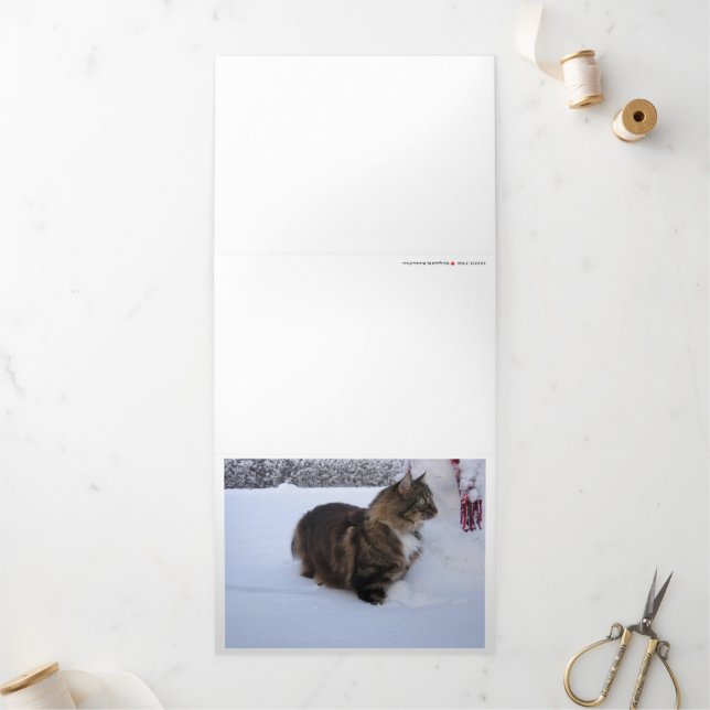Carte Trois Volets chat des forêts norvégiennes dans la neige (Extérieur)