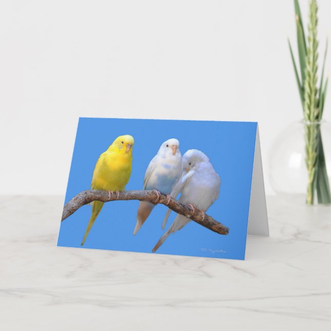 Carte Troisième roue (Devant)