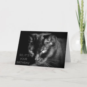 Carte Trop vieux pour alimenter le chat ?