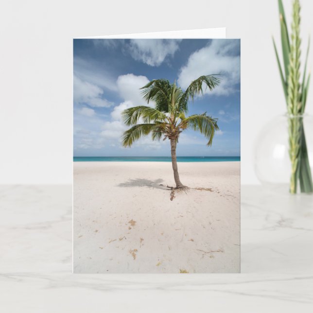 Carte Tropical Beaches | Eagle Beach, Aruba (Devant)
