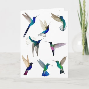 Carte Tropical Hummingbirds