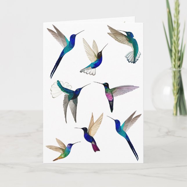 Carte Tropical Hummingbirds (Devant)