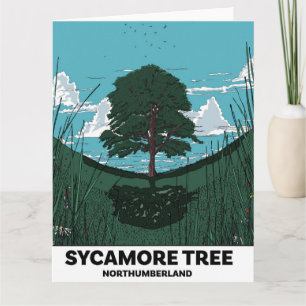 Carte Trou de l'Érable Sycomore