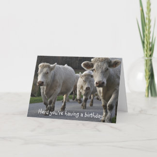 Carte Trouve que tu fasses un anniversaire !