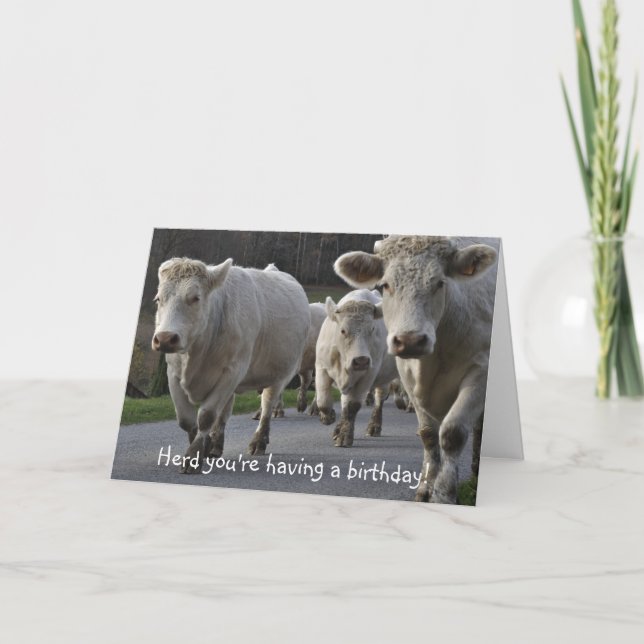 Carte Trouve que tu fasses un anniversaire ! (Devant)