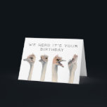 Carte Trouve Son Anniversaire | Oiseaux d'autruche<br><div class="desc">Carte d'anniversaire amusante avec des oiseaux autruches peints à la main avec des expressions dramatiques. Le texte au-dessus de l'animal dit "Nous avons appris que c'est votre anniversaire." Cartes humoristiques pour vos amis et vos familles.</div>