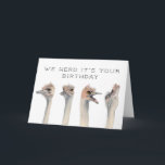 Carte Trouve Son Anniversaire | Oiseaux d'autruche<br><div class="desc">Carte d'anniversaire amusante avec des oiseaux autruches peints à la main avec des expressions dramatiques. Le texte au-dessus de l'animal dit "Nous avons appris que c'est votre anniversaire." Cartes humoristiques pour vos amis et vos familles.</div>