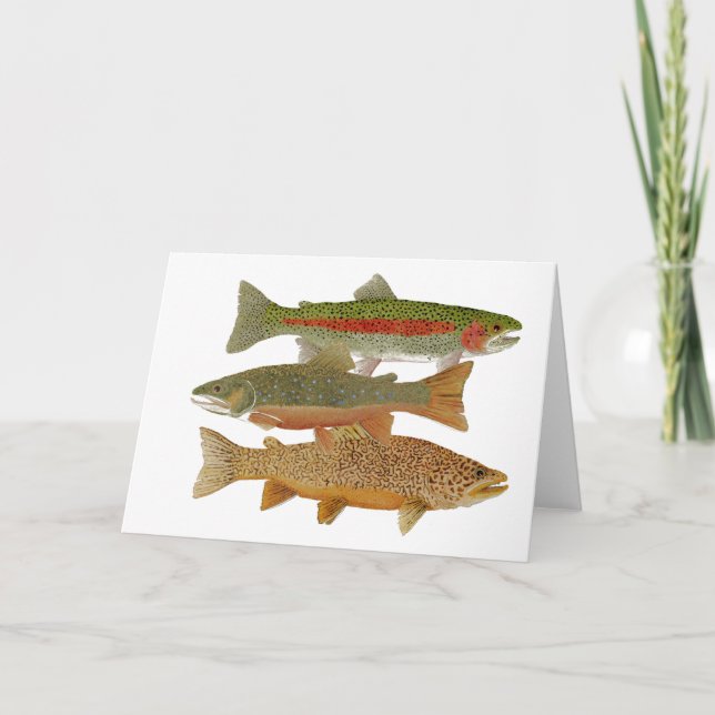 Carte Truite populaire (Devant)