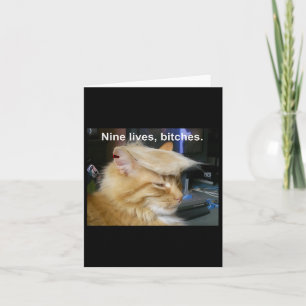 Carte Trump Cat Nine vit drôle Trump 2024 Vote Électio