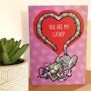 Carte Tu es ma cataire drôle de Saint-Valentin chat de d