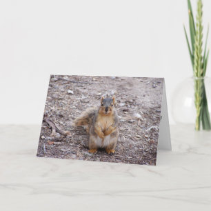 Carte Tu es une noix