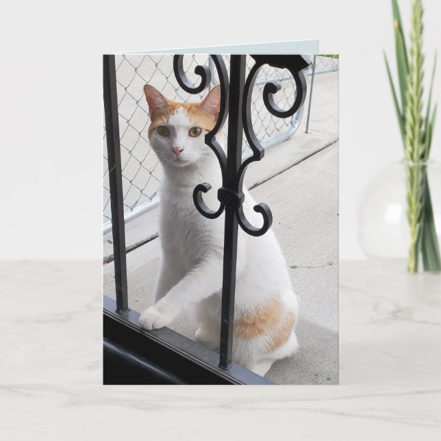 Carte Tu Me Manques Chat (Devant)
