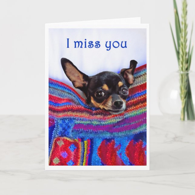 Carte Tu me manques, Chihuahua chien, humour, (Devant)
