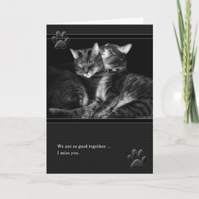 Carte Tu Me Manques Gray Tabby Cats (Devant)