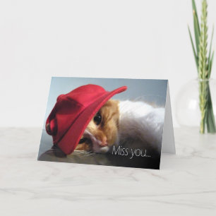 Carte Tu me manques - Joli chat portant une casquette ro