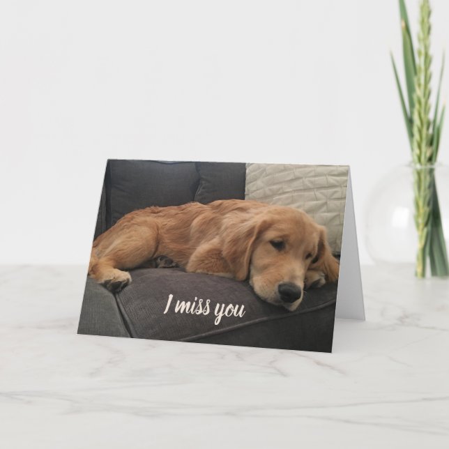 Carte Tu Me Manques Mignonne Golden Retriever (Devant)