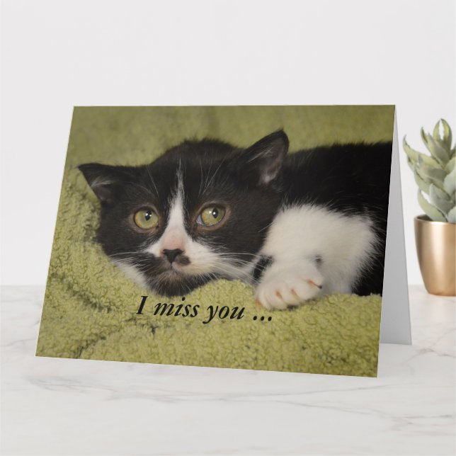 Carte Tu Me Manques, Shy Tuxedo Kitten Card (Petite plante)