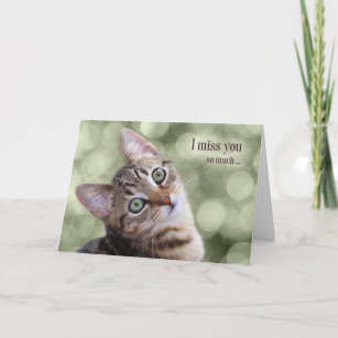 Cadeaux Chat Pourri Zazzle Fr