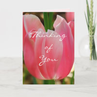 Tulip7 Penser à vous carte-personnaliser toute occ