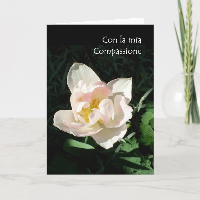 Carte 'Tulip' Sympathy Card - Italian Greeting (Devant)